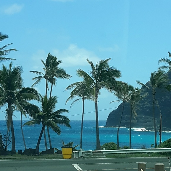 thebeachiscalln